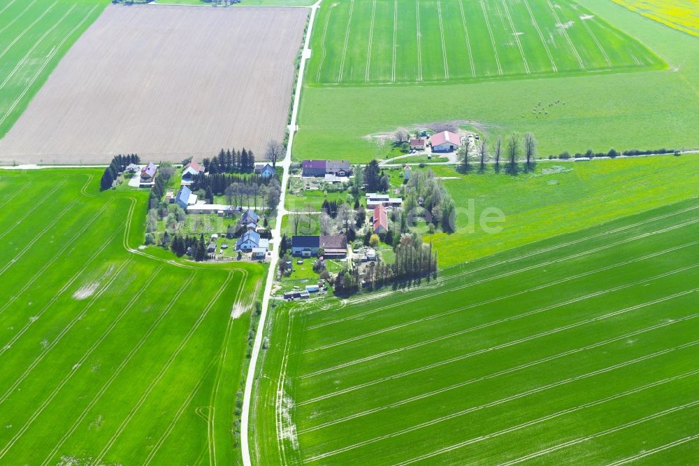 Luftbild Mengelsdorf - Gehöft und Bauernhof in Mengelsdorf im Bundesland Sachsen, Deutschland