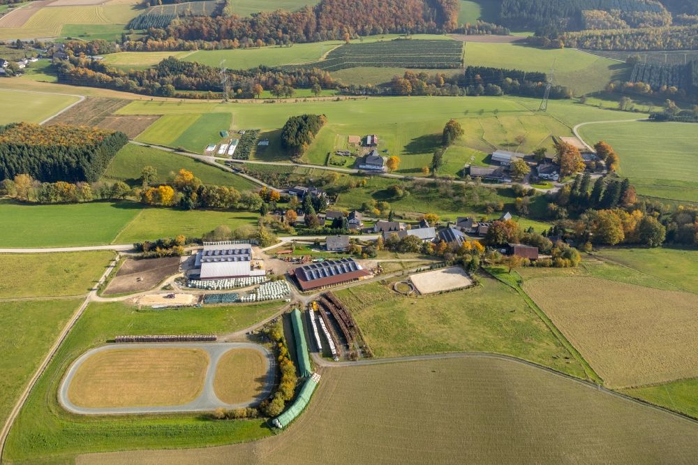 Luftbild Meschede - Gehöft und Bauernhof an der Mosebolle in Meschede im Bundesland Nordrhein-Westfalen, Deutschland