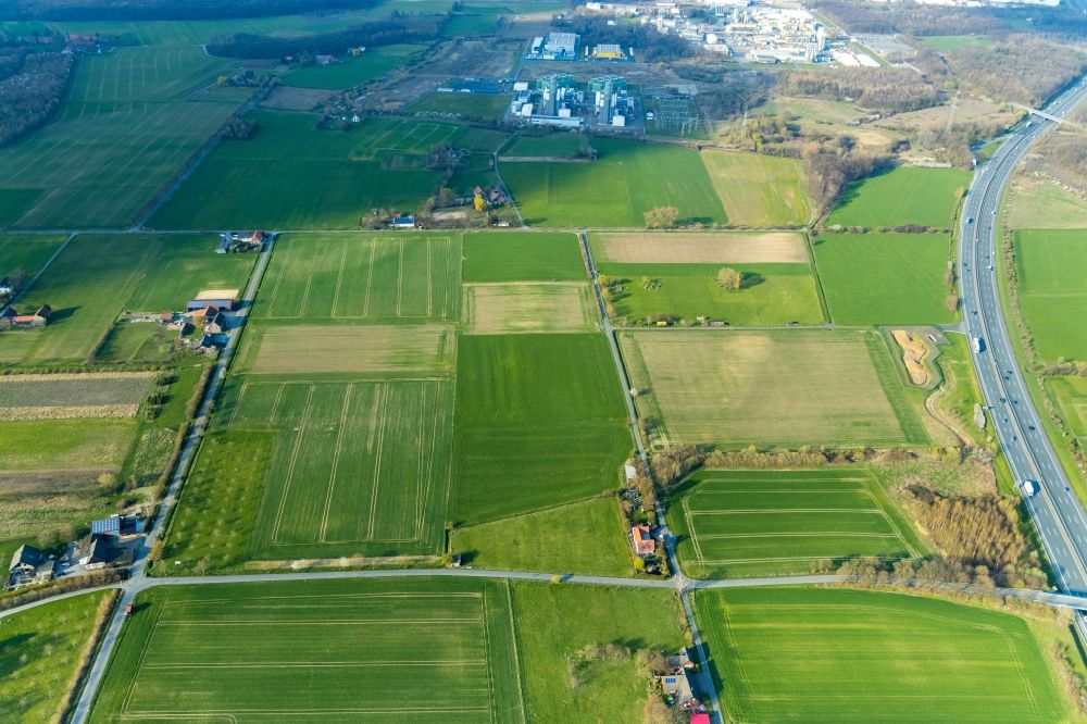 Luftbild Norddinker - Gehöft und Bauernhof in Norddinker im Bundesland Nordrhein-Westfalen, Deutschland