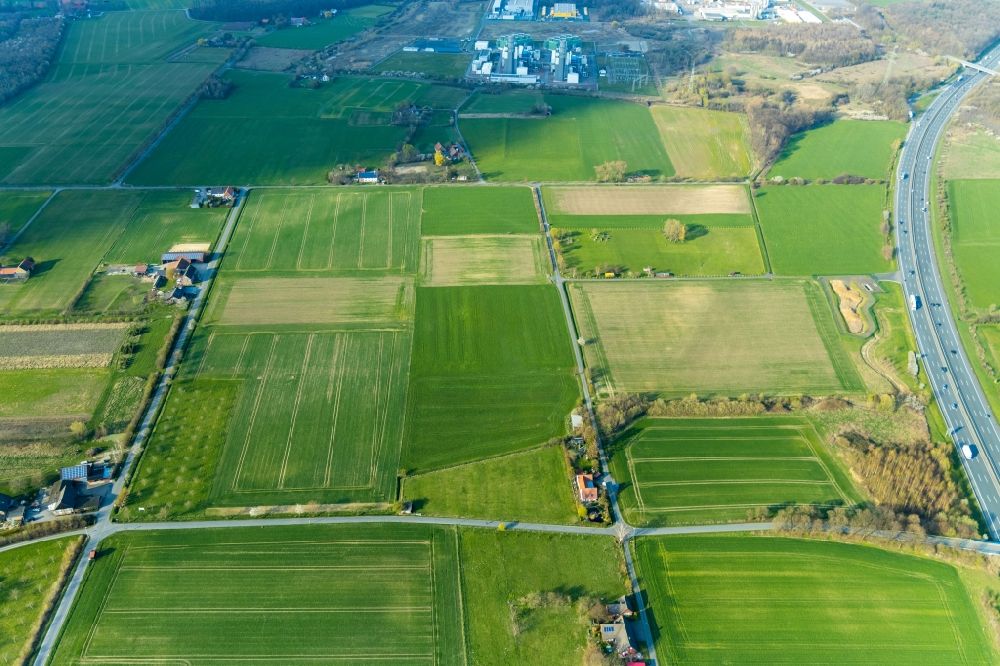 Luftaufnahme Norddinker - Gehöft und Bauernhof in Norddinker im Bundesland Nordrhein-Westfalen, Deutschland