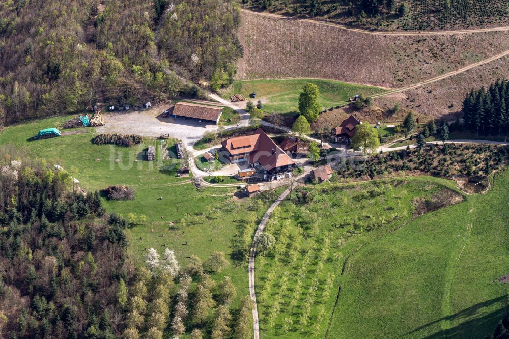 Ohlsbach aus der Vogelperspektive: Gehöft und Bauernhof in Obstblüte in Ohlsbach im Bundesland Baden-Württemberg, Deutschland