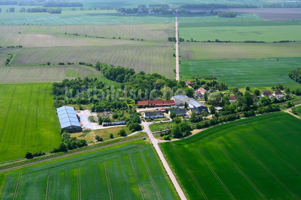 Osternienburg aus der Vogelperspektive: Gehöft und Bauernhof in Osternienburg im Bundesland Sachsen-Anhalt, Deutschland
