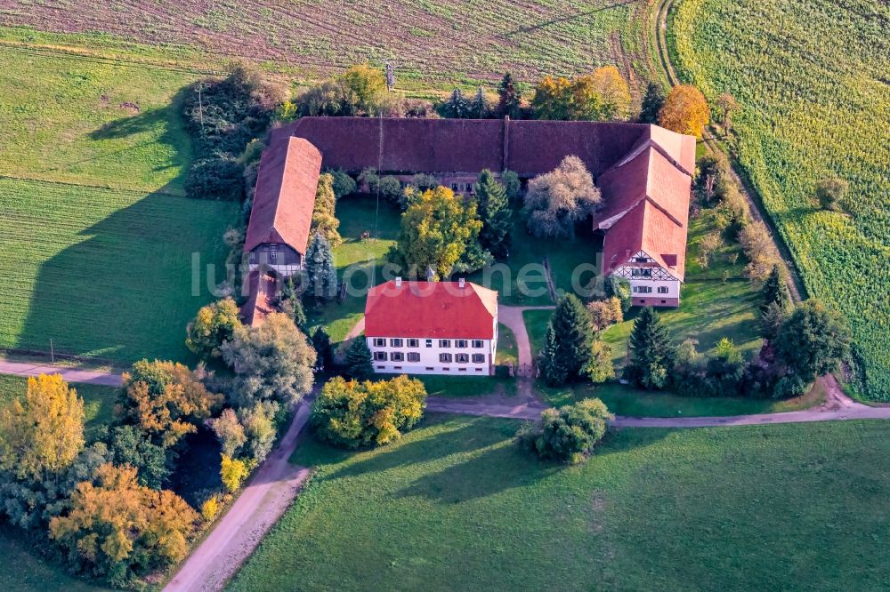 Neuried von oben - Gehöft und Bauernhof Ottenweier Hof des Seitz Trios in Neuried im Bundesland Baden-Württemberg, Deutschland