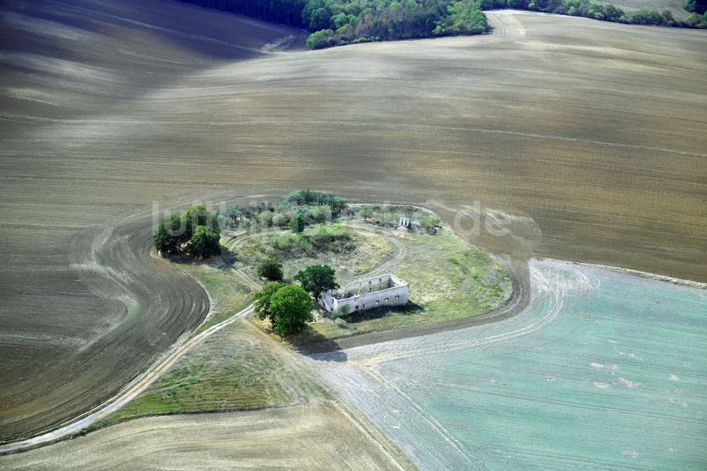 Luftaufnahme Balgstädt - Gehöft und Bauernhof- Ruine in Balgstädt im Bundesland Sachsen-Anhalt, Deutschland