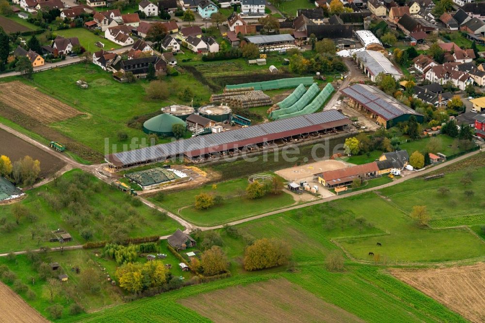 Luftbild Schwanau - Gehöft und Bauernhof in Schwanau im Bundesland Baden-Württemberg, Deutschland