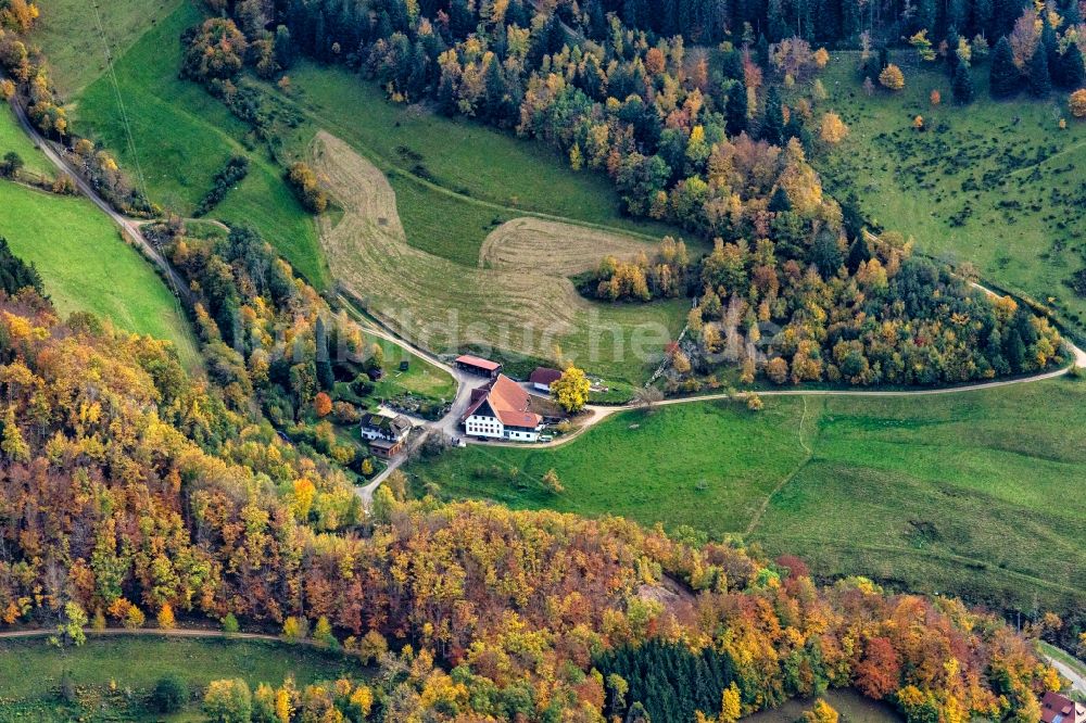Luftaufnahme Hausach - Gehöft und Bauernhof im Schwarzwald in Hausach im Bundesland Baden-Württemberg, Deutschland