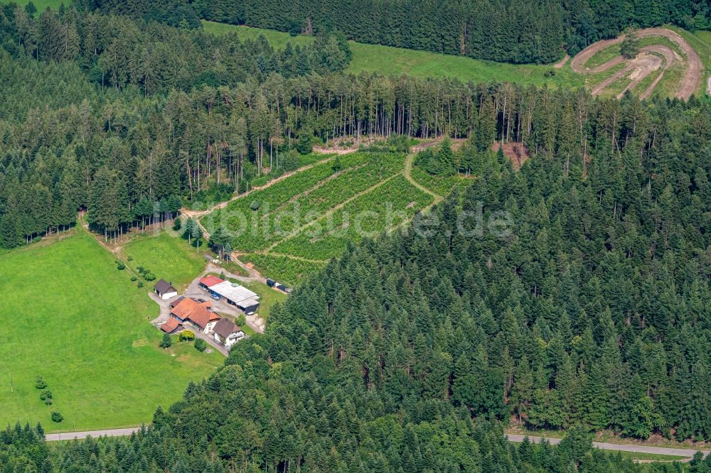 Schweighausen von oben - Gehöft und Bauernhof in Schweighausen im Bundesland Baden-Württemberg, Deutschland