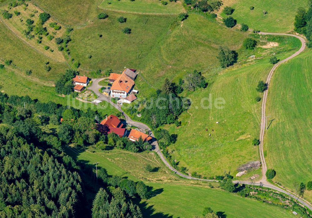 Luftaufnahme Schweighausen - Gehöft und Bauernhof in Schweighausen im Bundesland Baden-Württemberg, Deutschland