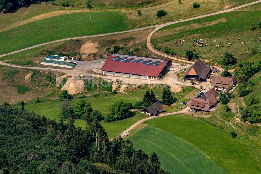 Luftbild Seelbach - Gehöft und Bauernhof in Seelbach im Bundesland Baden-Württemberg, Deutschland