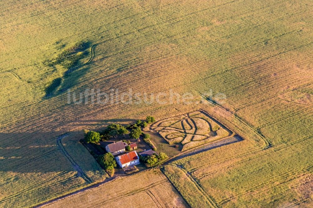 Luftbild Borre - Gehöft und Bauernhof umgeben von Getreidefeldern in Borre in Region Själland, Dänemark