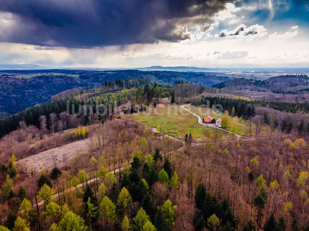 Luftaufnahme Ettenheim - Gehöft und Bauernhof von Wald umgeben, am Herbolzheimer Höfle in Ettenheim im Bundesland Baden-Württemberg, Deutschland