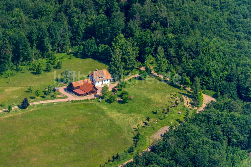 Ettenheim von oben - Gehöft und Bauernhof von Wald umgeben, am Herbolzheimer Höfle in Ettenheim im Bundesland Baden-Württemberg, Deutschland