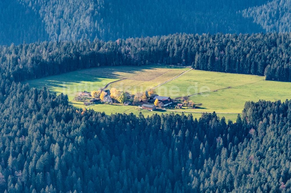 Luftaufnahme Hinterrötenberg - Gehöft und Bauernhof von Wald umgeben in Hinterrötenberg im Bundesland Baden-Württemberg, Deutschland