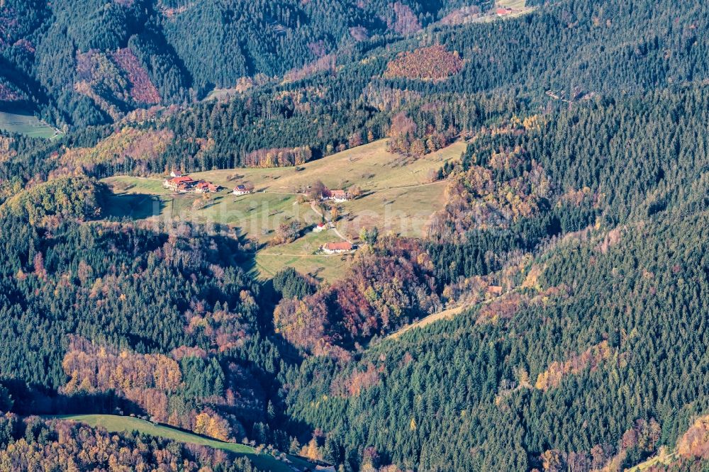 Luftaufnahme Bad Peterstal-Griesbach - Gehöft und Bauernhof Waldlichtung Schwarzwald in Bad Peterstal-Griesbach im Bundesland Baden-Württemberg, Deutschland