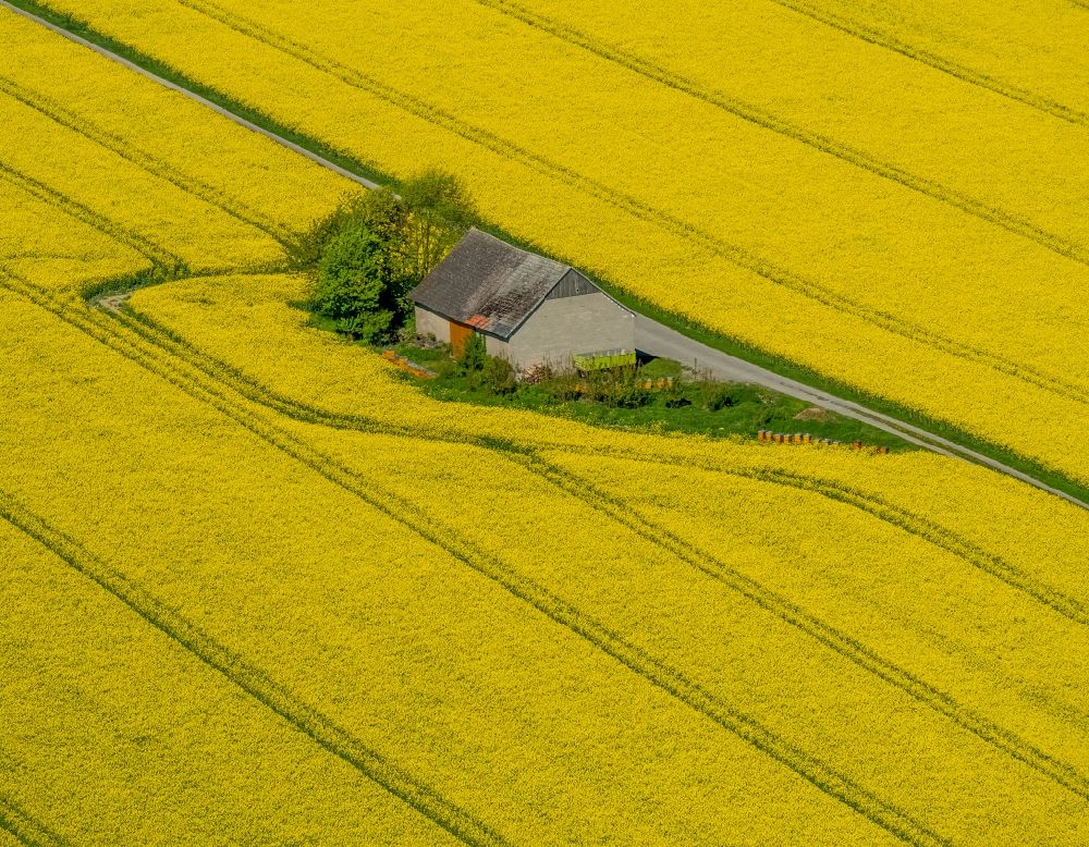 Luftbild Anröchte - Gehöft eines Bauernhofes auf gelben Rapsfeld in Anröchte im Bundesland Nordrhein-Westfalen, Deutschland