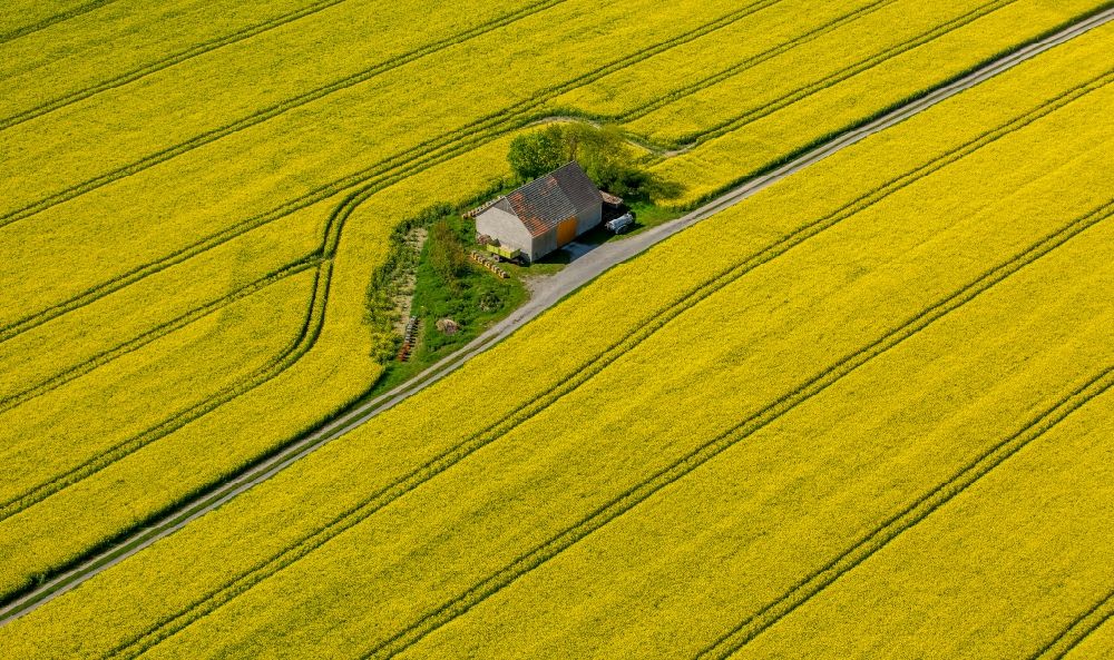 Anröchte von oben - Gehöft eines Bauernhofes auf gelben Rapsfeld in Anröchte im Bundesland Nordrhein-Westfalen, Deutschland