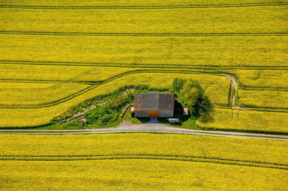 Anröchte aus der Vogelperspektive: Gehöft eines Bauernhofes auf gelben Rapsfeld in Anröchte im Bundesland Nordrhein-Westfalen, Deutschland