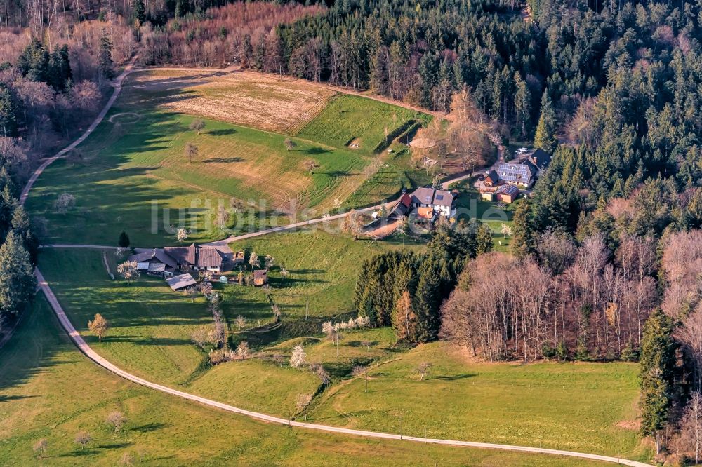 Seelbach von oben - Gehöft eines Bauernhofes Hasenberg in Seelbach im Bundesland Baden-Württemberg, Deutschland