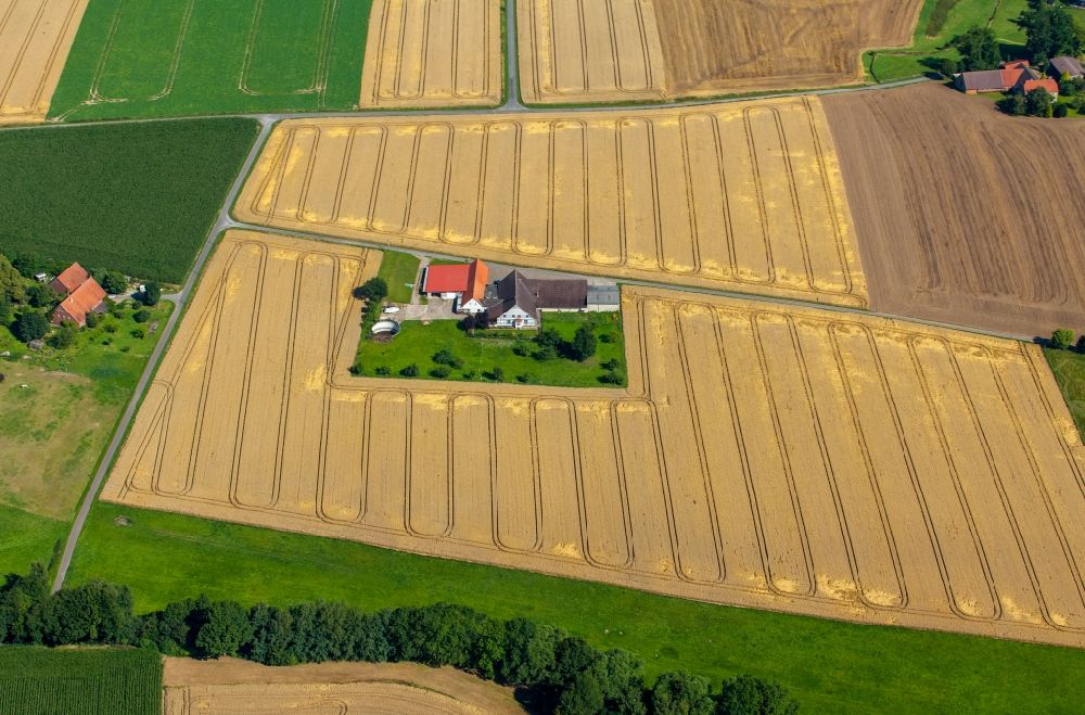 Luftaufnahme Rödinghausen - Gehöft eines Bauernhofes in Kornfeldern in Rödinghausen im Bundesland Nordrhein-Westfalen