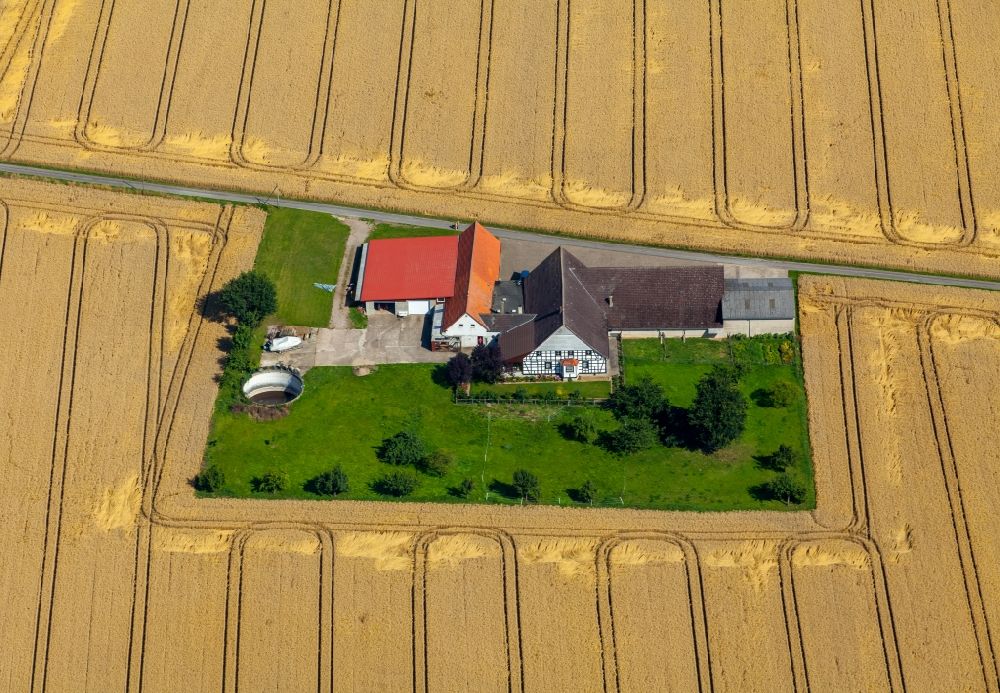 Rödinghausen von oben - Gehöft eines Bauernhofes in Kornfeldern in Rödinghausen im Bundesland Nordrhein-Westfalen