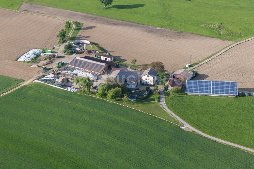 Luftbild Hohenfels - Gehöft eines Bauernhofes mit Photovoltaik Dächern am Rand von bestellten Feldern in Hohenfels im Bundesland Baden-Württemberg, Deutschland