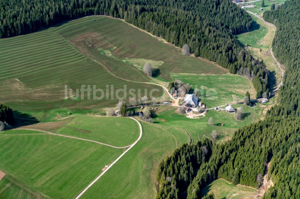 Luftaufnahme Hornberg - Gehöft eines Bauernhofes am Rand von bestellten Feldern in Hornberg im Bundesland Baden-Württemberg, Deutschland