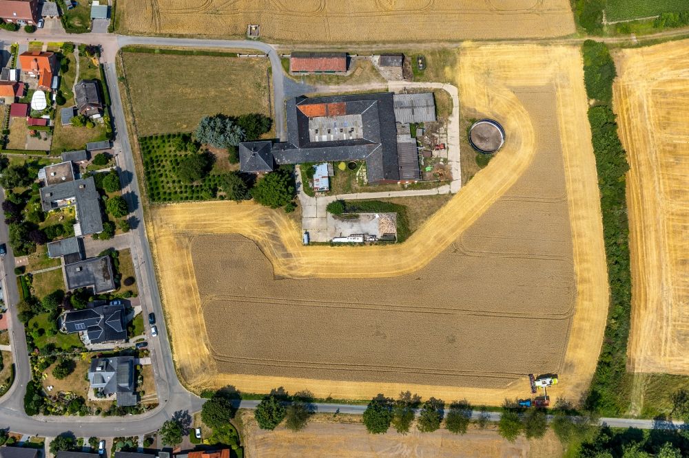 Walstedde aus der Vogelperspektive: Gehöft eines Bauernhofes am Rand von bestellten Feldern in Walstedde im Bundesland Nordrhein-Westfalen, Deutschland