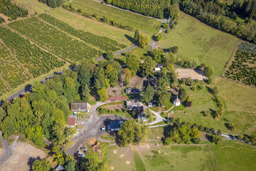 Luftbild Schmallenberg - Gehöft und Försterei Waldgut Altenhof in Schmallenberg im Bundesland Nordrhein-Westfalen, Deutschland