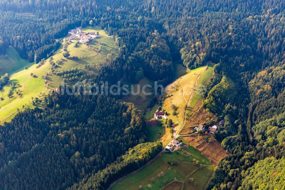 Oppenau von oben - Gehöft und Schwarzwald-Bauernhof Felmeck in Oppenau im Bundesland Baden-Württemberg, Deutschland