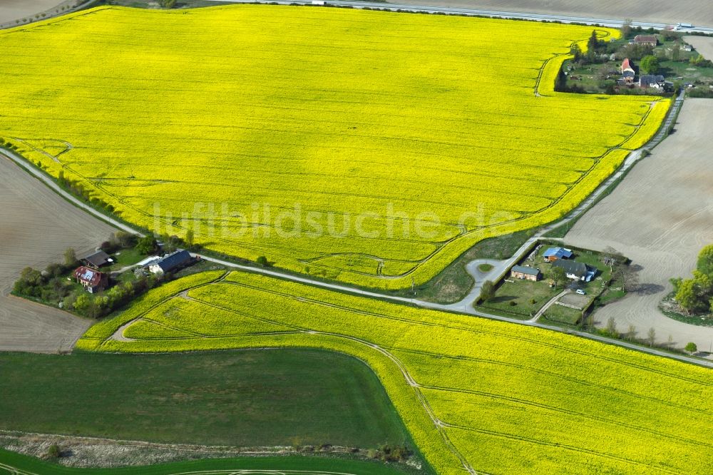 Luftbild Sabel - Gehöfte und Bauernhöfe mit Rapsfeldern bei Sabel im Bundesland Mecklenburg-Vorpommern, Deutschland