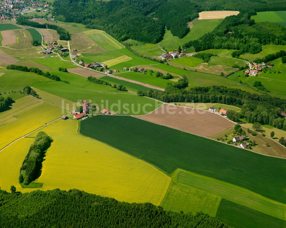 Luftbild Awengen - Gelb - grün Kontrast blühender Raps- Blüten in Awengen im Bundesland Baden-Württemberg, Deutschland