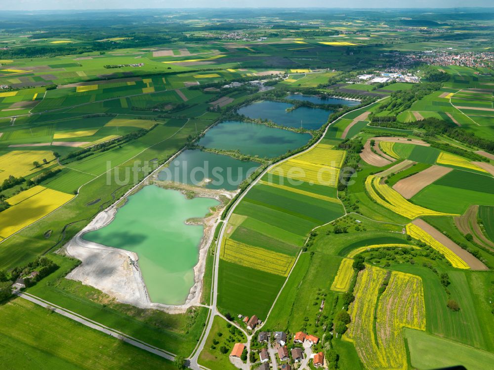 Luftaufnahme Binzwangen - Gelb - grün Kontrast blühender Raps- Blüten in Binzwangen im Bundesland Baden-Württemberg, Deutschland