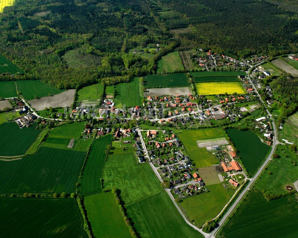 Luftbild Bliestorf - Gelb - grün Kontrast blühender Raps- Blüten in Bliestorf im Bundesland Schleswig-Holstein, Deutschland
