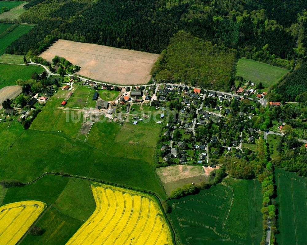Brunsmark von oben - Gelb - grün Kontrast blühender Raps- Blüten in Brunsmark im Bundesland Schleswig-Holstein, Deutschland