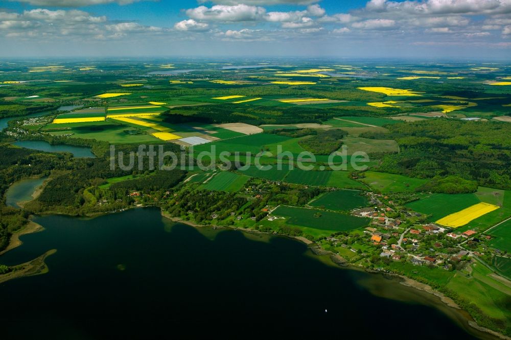 Luftaufnahme Dargow - Gelb - grün Kontrast blühender Raps- Blüten in Dargow am Schaalsee im Bundesland Schleswig-Holstein, Deutschland
