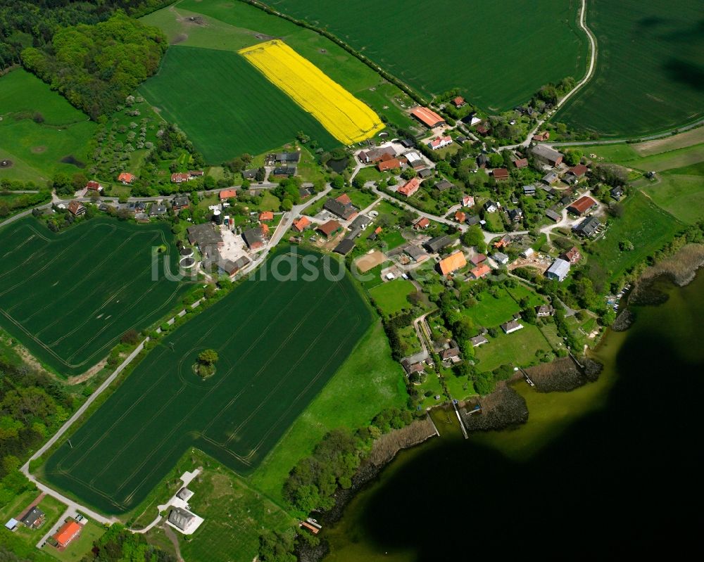 Luftaufnahme Dargow - Gelb - grün Kontrast blühender Raps- Blüten in Dargow im Bundesland Schleswig-Holstein, Deutschland