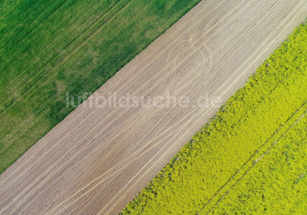 Luftaufnahme Falkenhagen (Mark) - Gelb - grün Kontrast blühender Raps- Blüten in Falkenhagen (Mark) im Bundesland Brandenburg, Deutschland