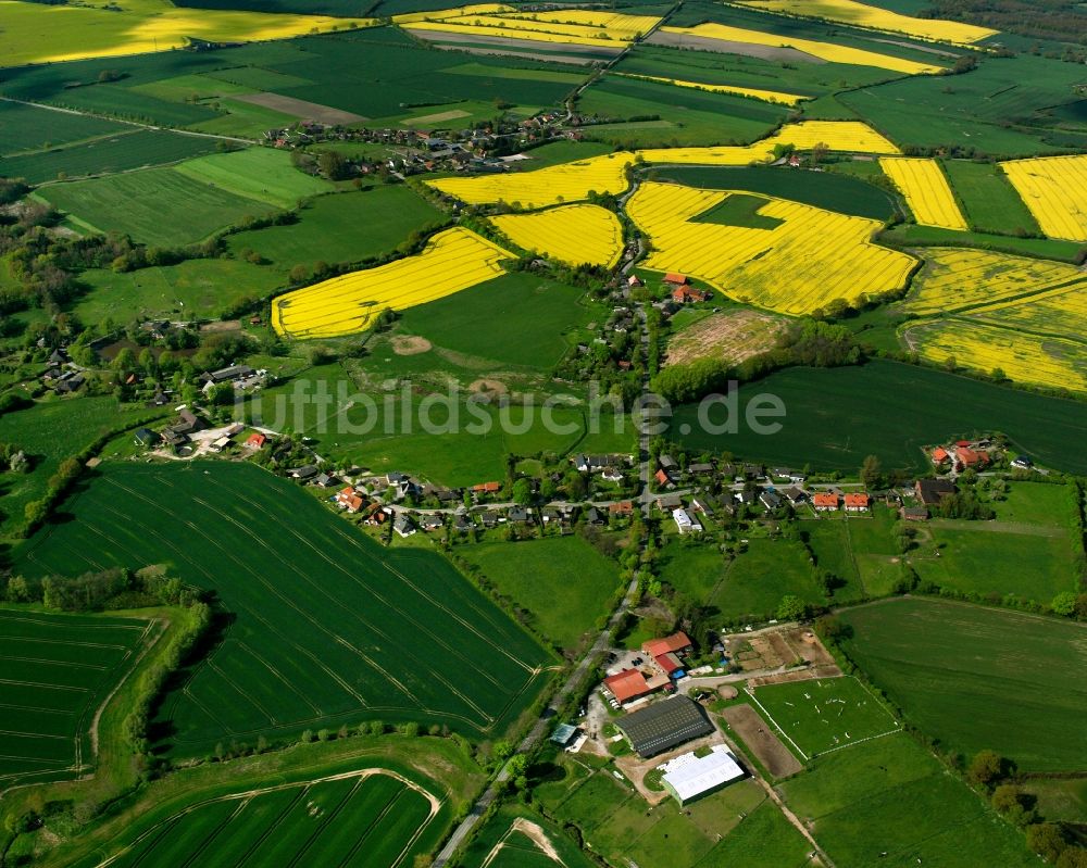 Luftaufnahme Groß Boden - Gelb - grün Kontrast blühender Raps- Blüten in Groß Boden im Bundesland Schleswig-Holstein, Deutschland