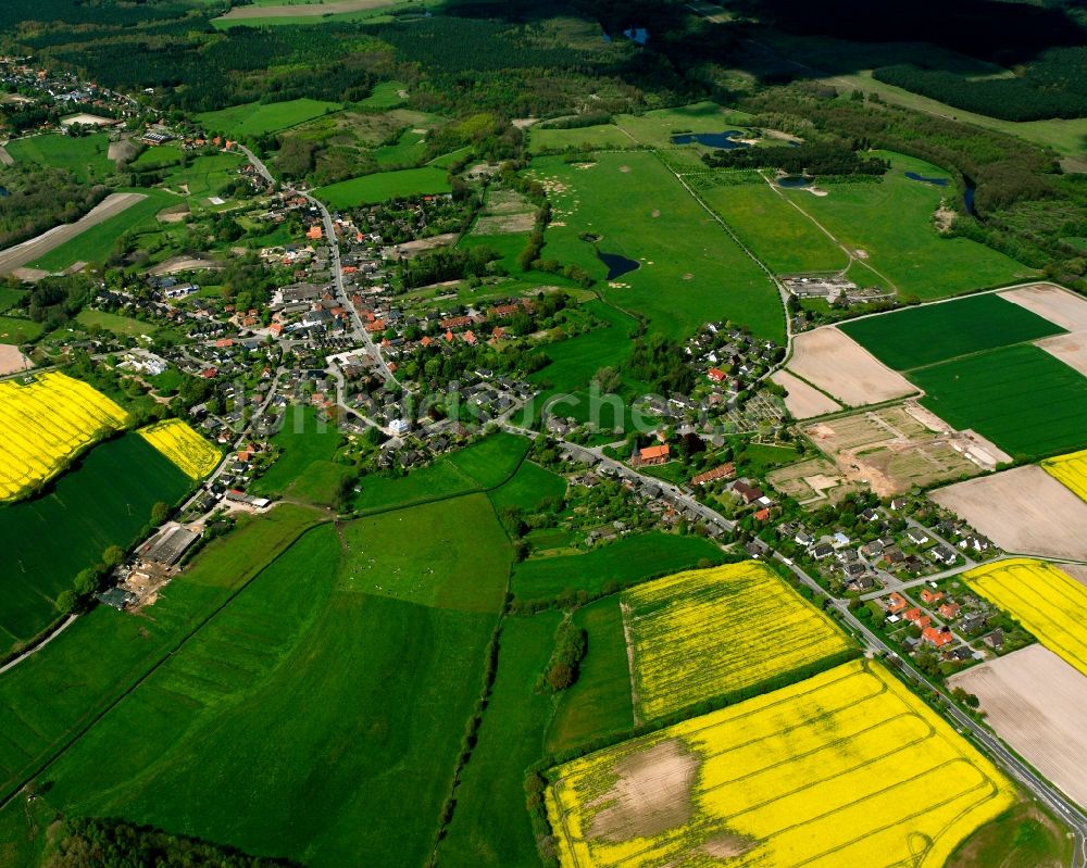 Luftbild Groß Grönau - Gelb - grün Kontrast blühender Raps- Blüten in Groß Grönau im Bundesland Schleswig-Holstein, Deutschland