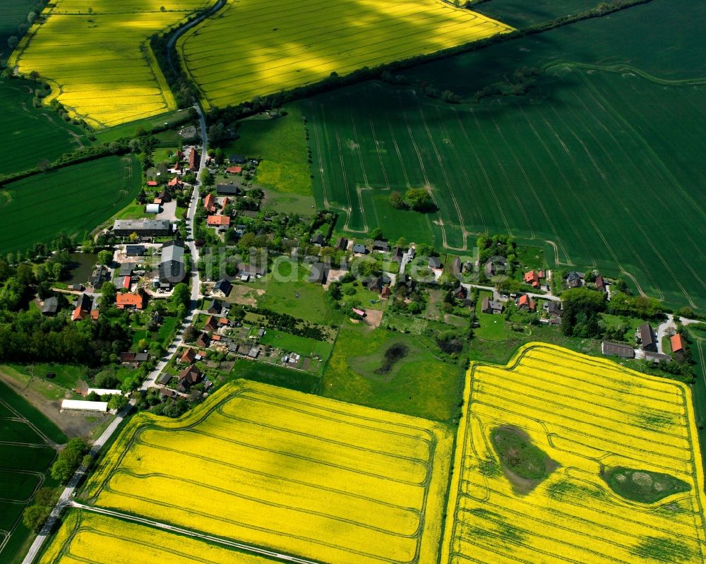Hakendorf aus der Vogelperspektive: Gelb - grün Kontrast blühender Raps- Blüten in Hakendorf im Bundesland Schleswig-Holstein, Deutschland