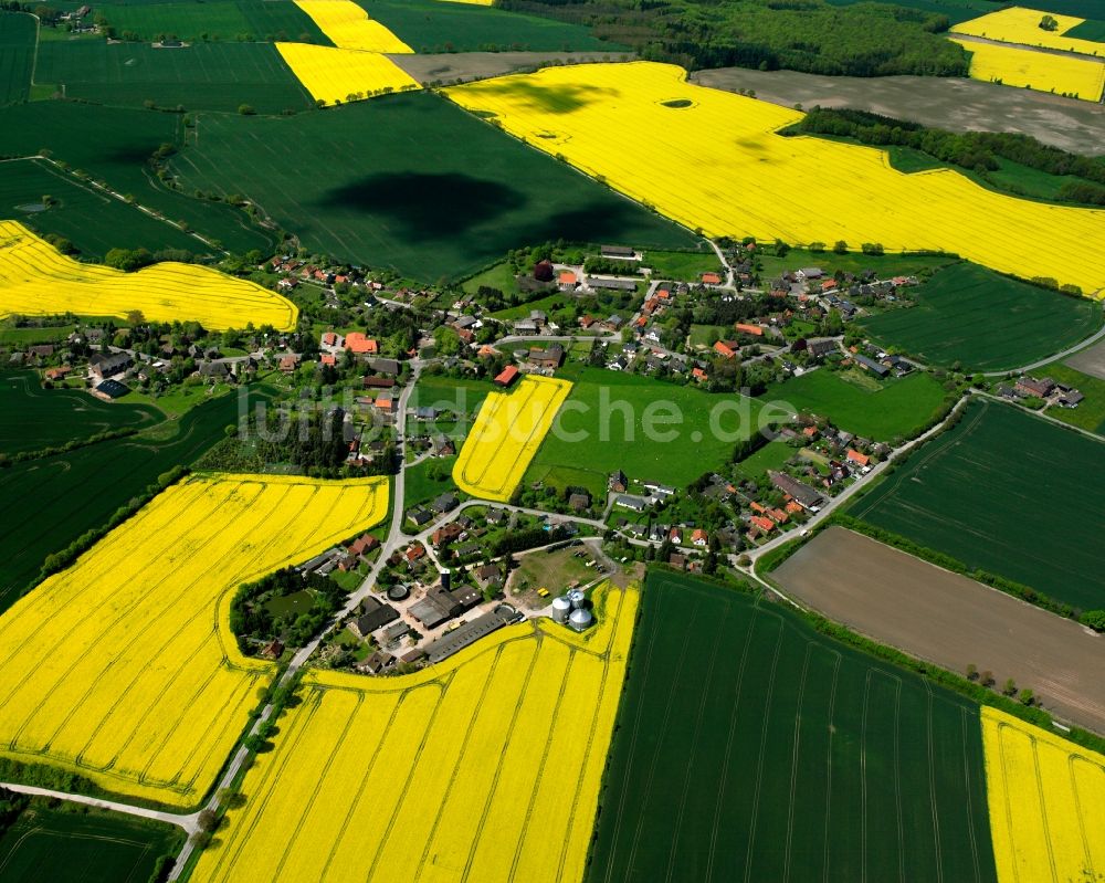 Hollenbek von oben - Gelb - grün Kontrast blühender Raps- Blüten in Hollenbek im Bundesland Schleswig-Holstein, Deutschland