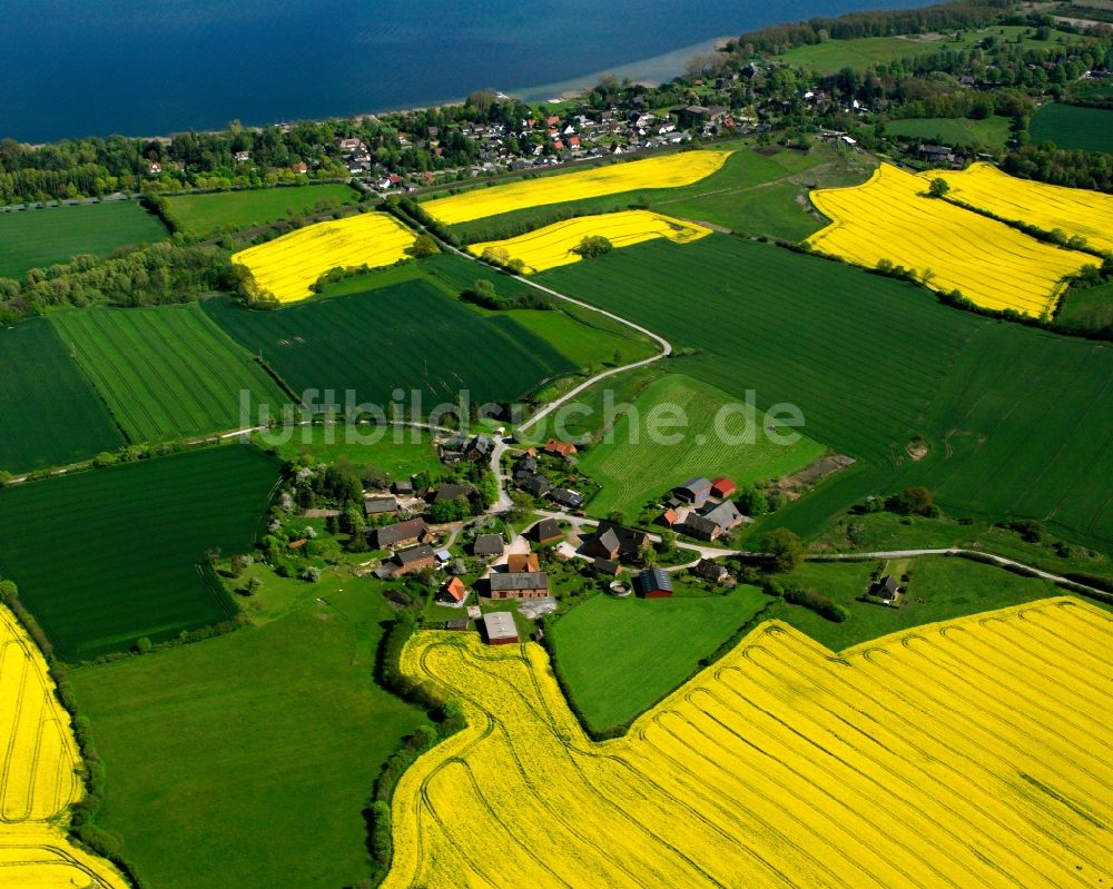Luftaufnahme Holstendorf - Gelb - grün Kontrast blühender Raps- Blüten in Holstendorf im Bundesland Schleswig-Holstein, Deutschland