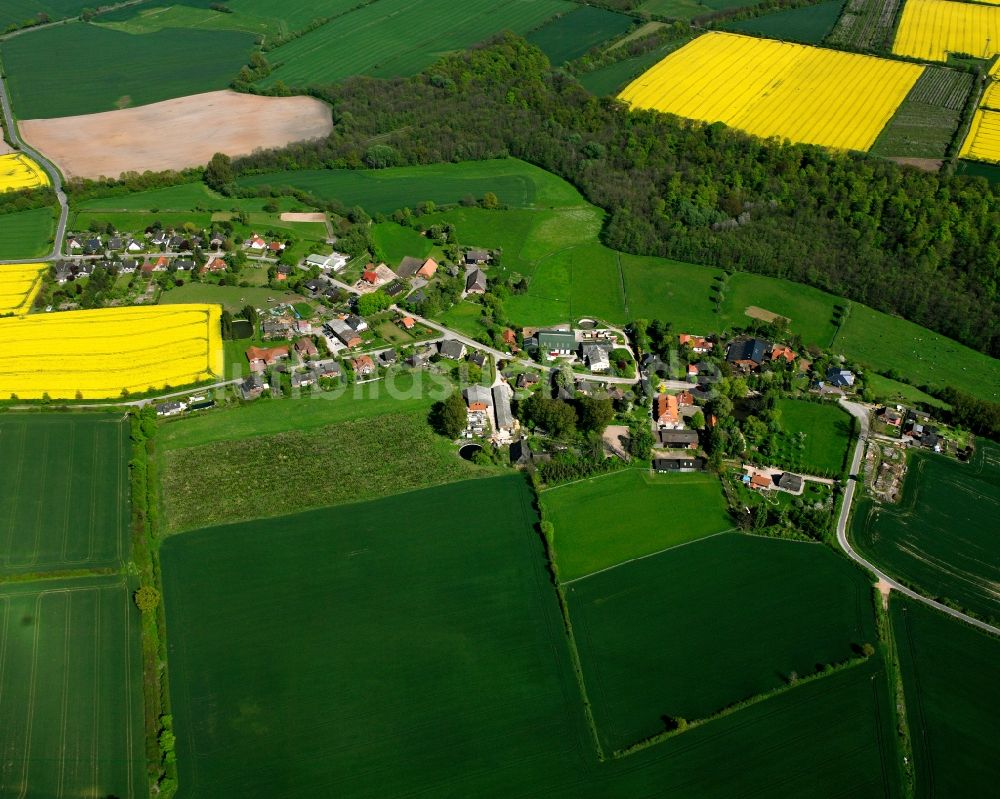 Luftbild Klein Sarau - Gelb - grün Kontrast blühender Raps- Blüten in Klein Sarau im Bundesland Schleswig-Holstein, Deutschland
