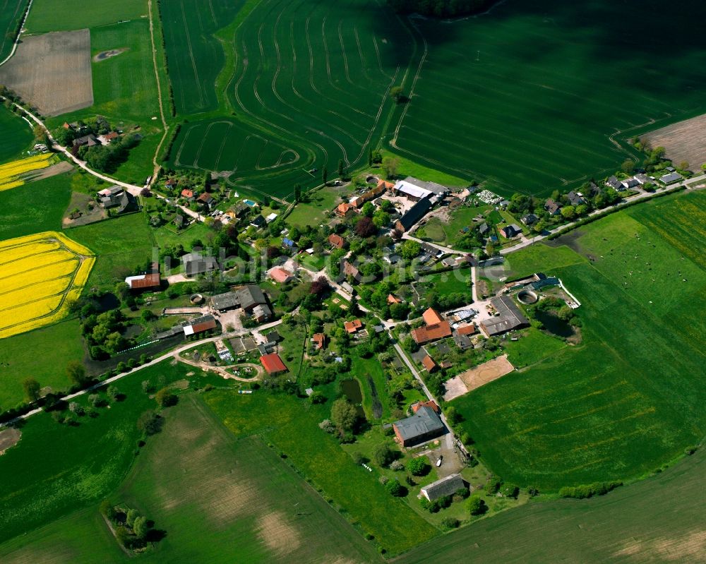 Luftbild Klein Zecher - Gelb - grün Kontrast blühender Raps- Blüten in Klein Zecher im Bundesland Schleswig-Holstein, Deutschland