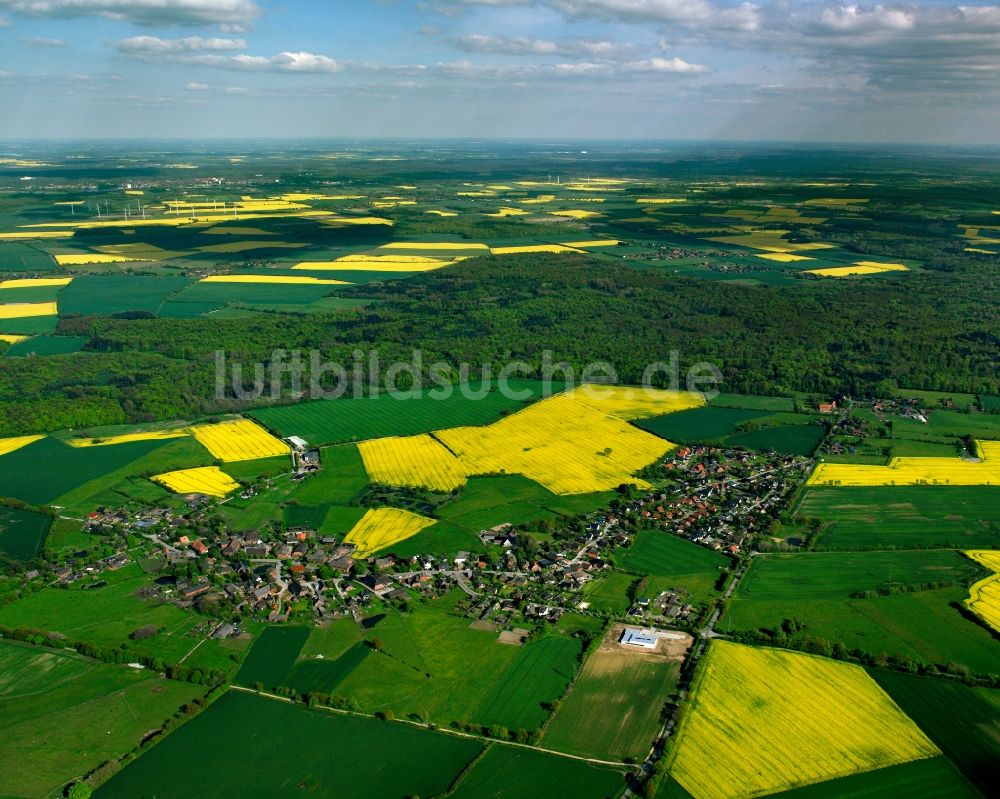 Luftbild Koberg - Gelb - grün Kontrast blühender Raps- Blüten in Koberg im Bundesland Schleswig-Holstein, Deutschland
