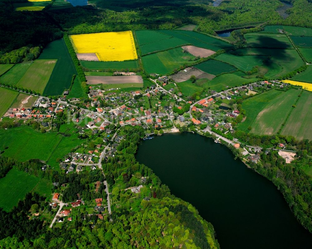 Luftbild Kogel Siedlung - Gelb - grün Kontrast blühender Raps- Blüten in Kogel Siedlung im Bundesland Schleswig-Holstein, Deutschland