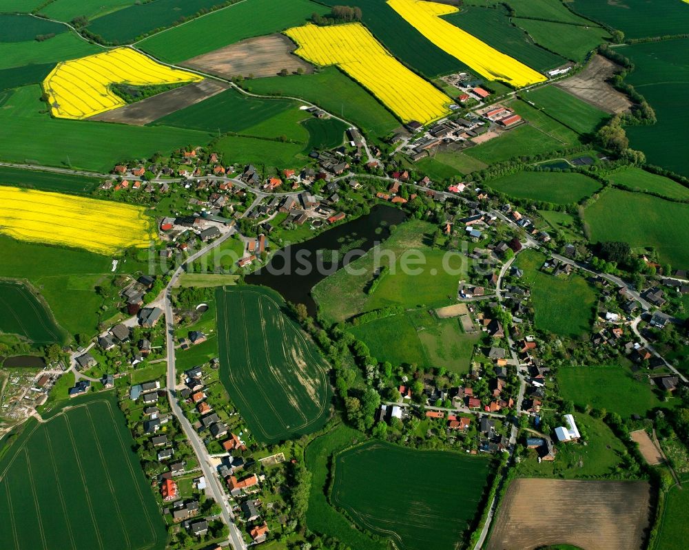Luftbild Labenz - Gelb - grün Kontrast blühender Raps- Blüten in Labenz im Bundesland Schleswig-Holstein, Deutschland