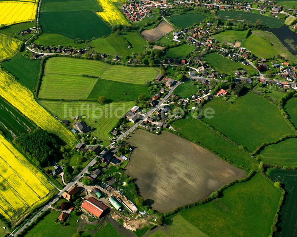 Luftaufnahme Labenz - Gelb - grün Kontrast blühender Raps- Blüten in Labenz im Bundesland Schleswig-Holstein, Deutschland