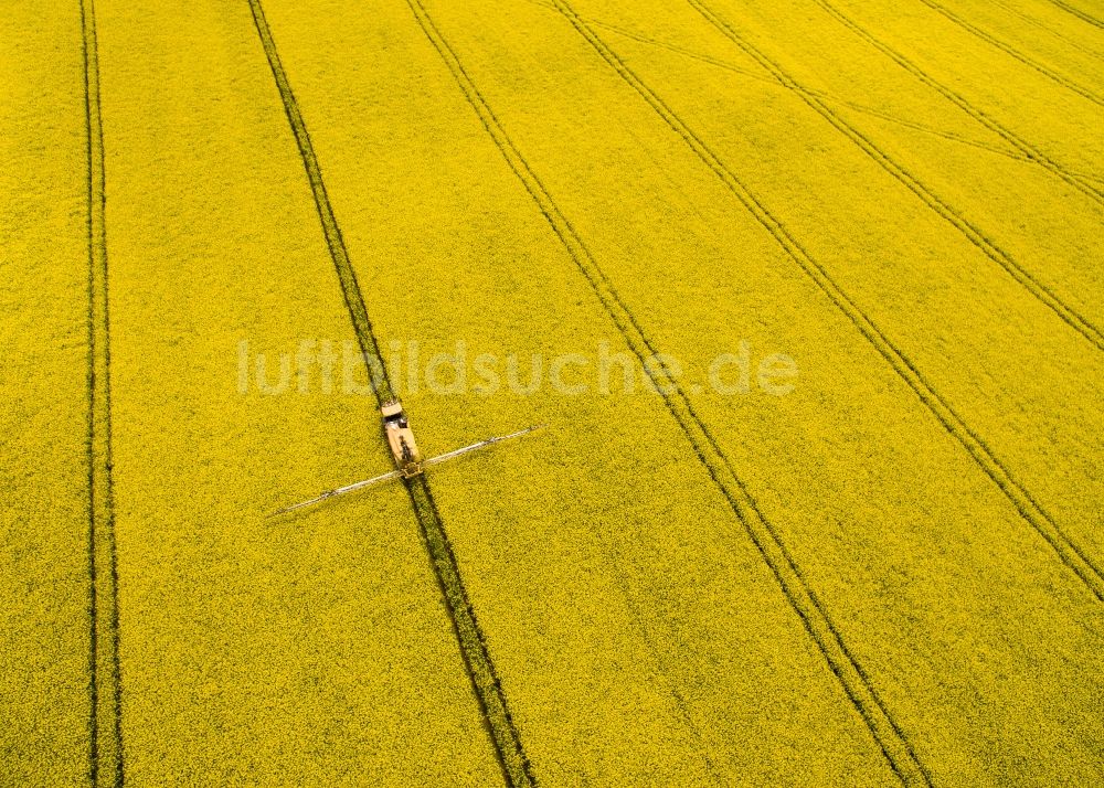 Langenleuba-Oberhain aus der Vogelperspektive: Gelb - grün Kontrast blühender Raps- Blüten in Langenleuba-Oberhain im Bundesland Sachsen, Deutschland