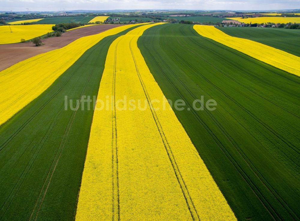 Luftaufnahme Langenleuba-Oberhain - Gelb - grün Kontrast blühender Raps- Blüten in Langenleuba-Oberhain im Bundesland Sachsen, Deutschland